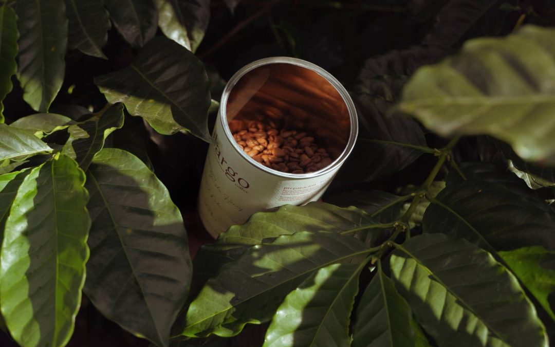 Lata de café especial Montelargo Geisha Honey entre plantas de café colombiano